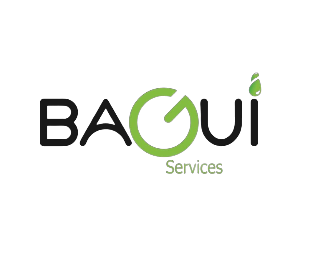Logo Bagui Services
